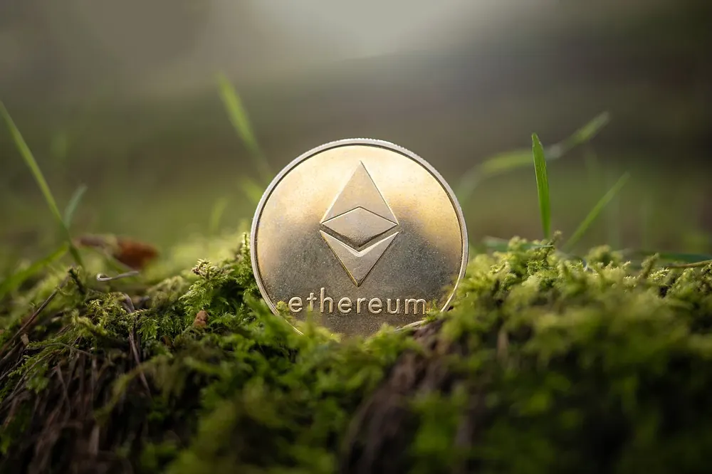 Ethereum coin resting on moss
