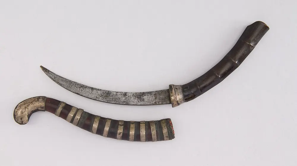 Curved knife with an ornate sheath, priced like the most expensive CS2 skins